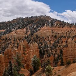 Panoramas